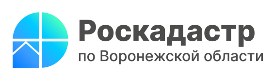 Роскадастр расскажет воронежцам об исправлении ошибок в сведениях ЕГРН. Роскадастр расскажет воронежцам об исправлении ошибок в сведениях ЕГРН.