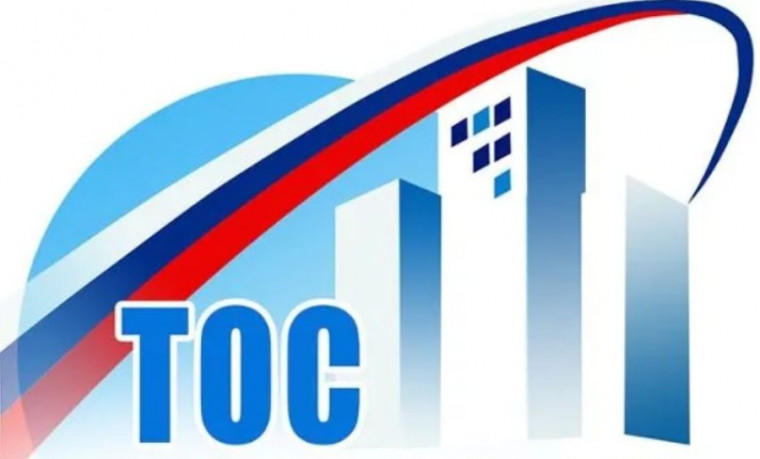 Три ТОСа нашего села разработали и подали заявки на участие в Конкурсе проектов территориального общественного самоуправления в Воронежской области.