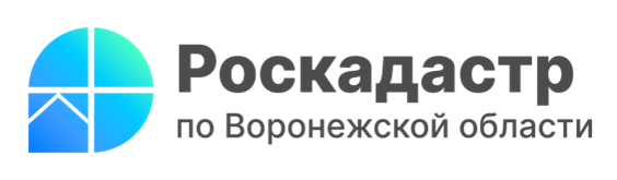 Воронежцам расскажут о новой выписке из ЕГРН.